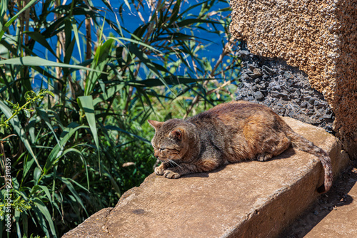 Obraz na płótnie Nooks and crannies at Ponta do Pargo on the island of Madeira w salonie