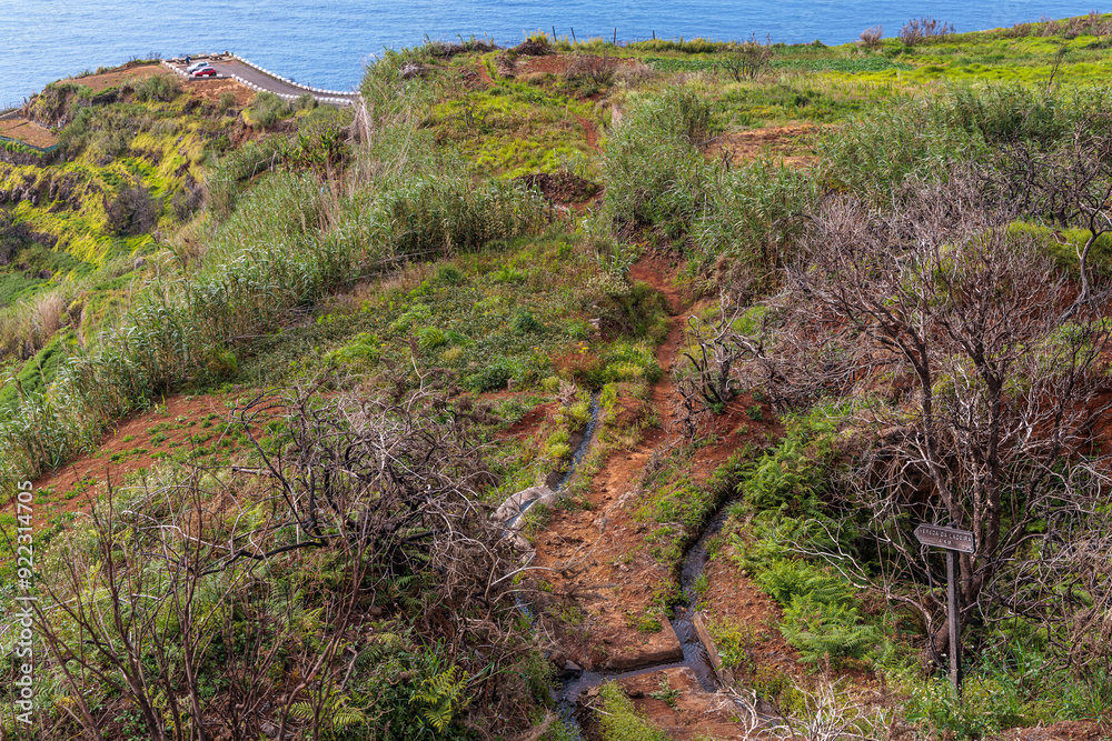 Levadas irrigating crops on the northern slopes of Madeira Island