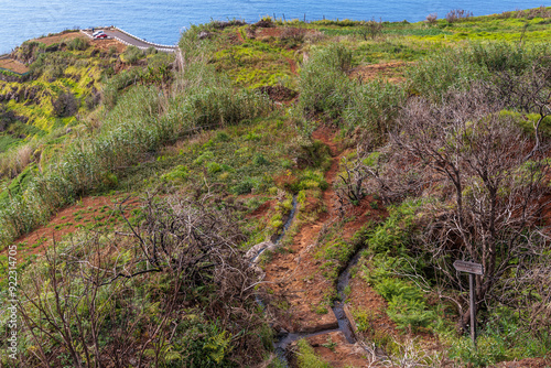 Obraz na płótnie Levadas irrigating crops on the northern slopes of Madeira Island w salonie