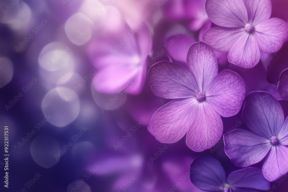 violet