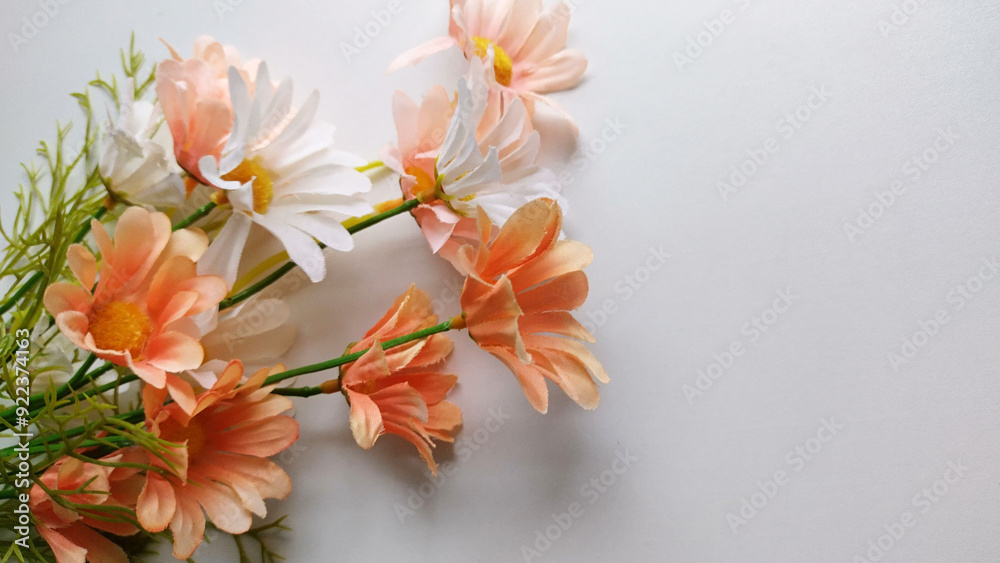 Bouquet of daisies on a white background