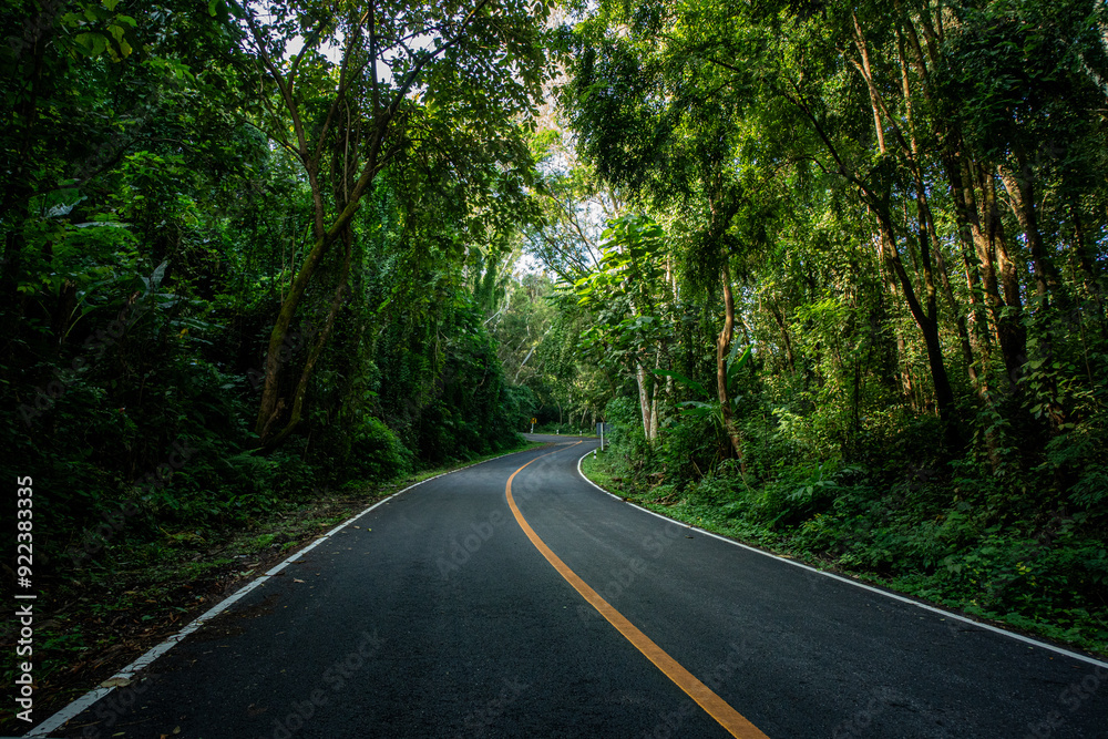 A rural road winds through a serene mountain vista, bordered by lush green forest under a blue sky at dawn in Doi Phuka National Park, Nan Province, Thailand A rural road winds through a serene mountain vista, bordered by lush green forest under a blue sky at dawn in Doi Phuka National Park, Nan Province, Thailand