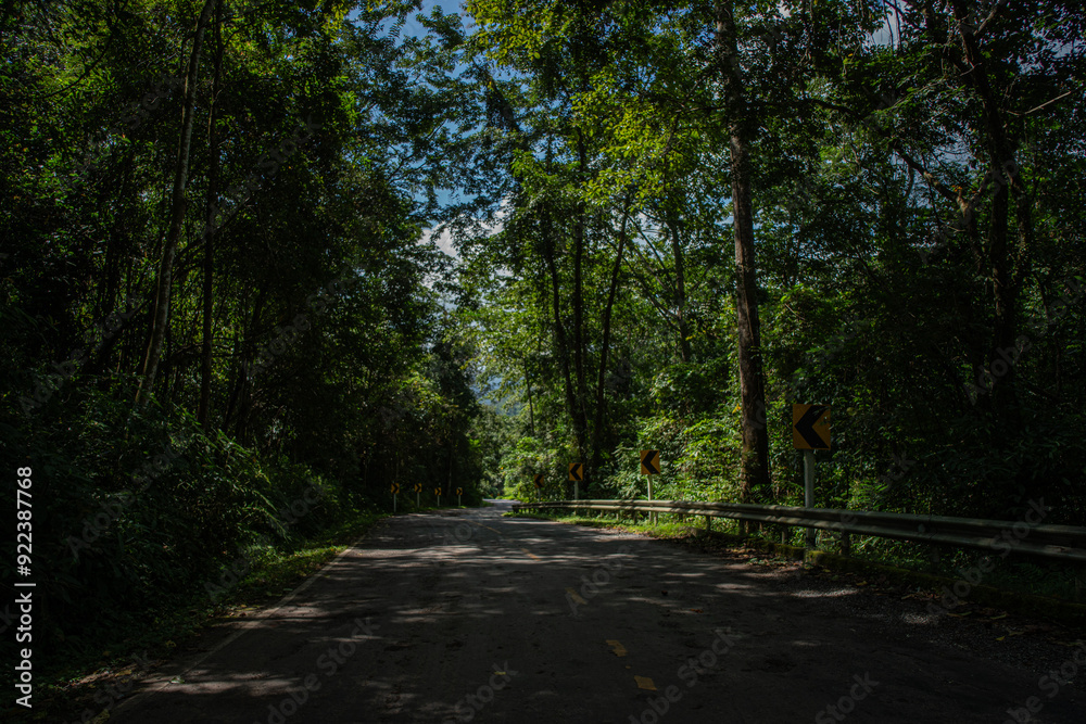 Fototapeta premium A rural road winds through a serene mountain vista, bordered by lush green forest under a blue sky at dawn in Doi Phuka National Park, Nan Province, Thailand