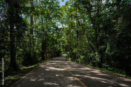 A rural road winds through a serene mountain vista, bordered by lush green forest under a blue sky at dawn in Doi Phuka National Park, Nan Province, Thailand