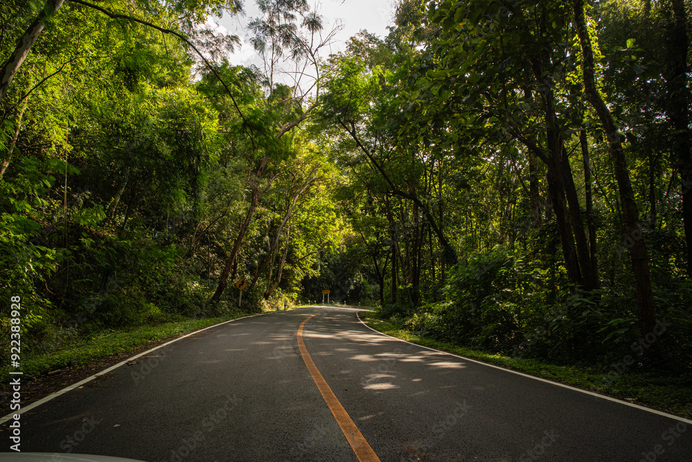 Fototapeta premium A rural road winds through a serene mountain vista, bordered by lush green forest under a blue sky at dawn in Doi Phuka National Park, Nan Province, Thailand