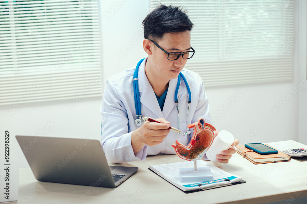 The stomach is a muscular, hollow organ in the digestive system that breaks down food using acids and enzymes, preparing nutrients for absorption in the intestines.