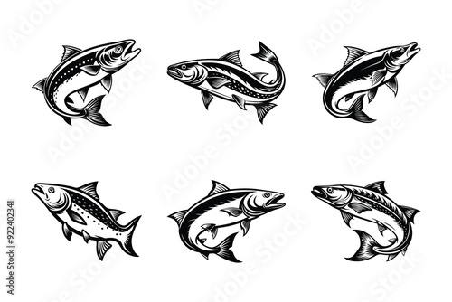 salmon fish silhouette design bundle set with white background