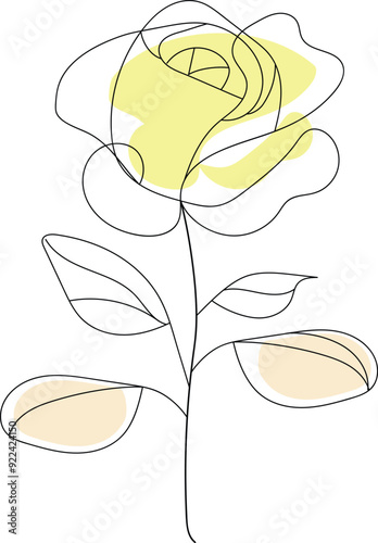 Hand drawn beautiful rose line art milimalist design photo