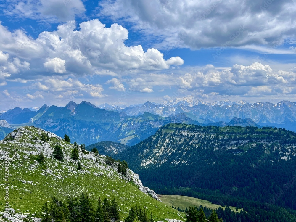 Fototapeta premium Alpes