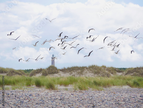 Seagulls flying on the seashore of Kattegat sea beach in Skagen, Grenen cape photo