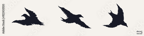 Three simple silhouettes of crows. Various flight poses. Handmade design elements in grunge style. Vector art