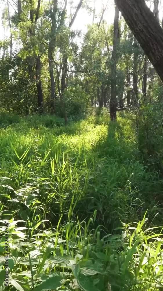 Fantastic view of rural area during summer Fantastic view of rural area during summer