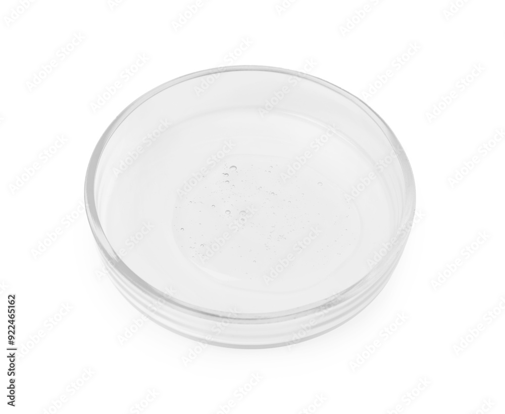 Petri dish with sample isolated on white Petri dish with sample isolated on white