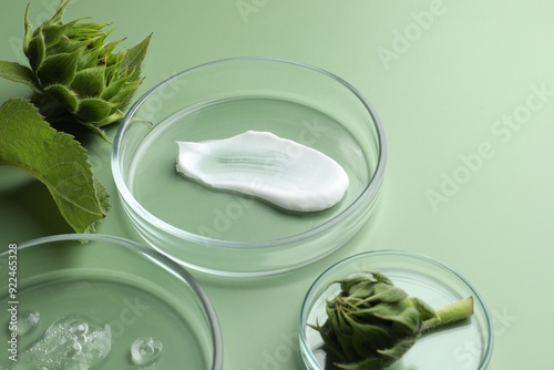 Petri dishes with cosmetic products and sunflowers on green background, closeup