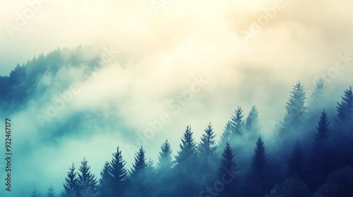 Misty Forest Landscape