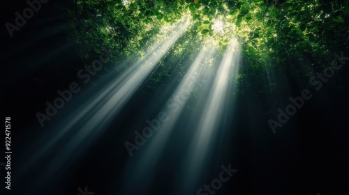 Sunbeams penetrate through lush green foliage in a dense forest, creating a beautiful interplay of light and shadows that highlights the natural scenery and tranquil atmosphere. photo