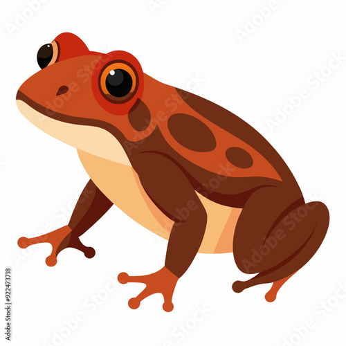 Common coqui frog art vector illustration photo