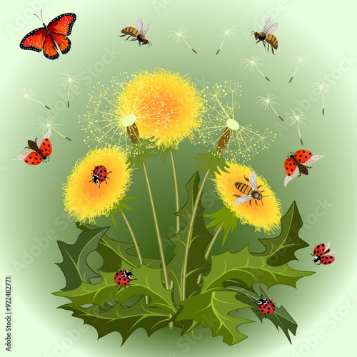 Colored illustration with dandelions and insects.Dandelions, ladybugs, bees and a butterfly in the illustration on a colored background.