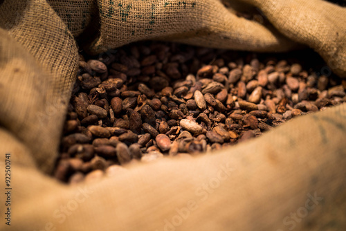 Coca Beans in a bag