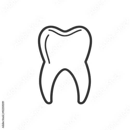 Outline illustration of a single tooth