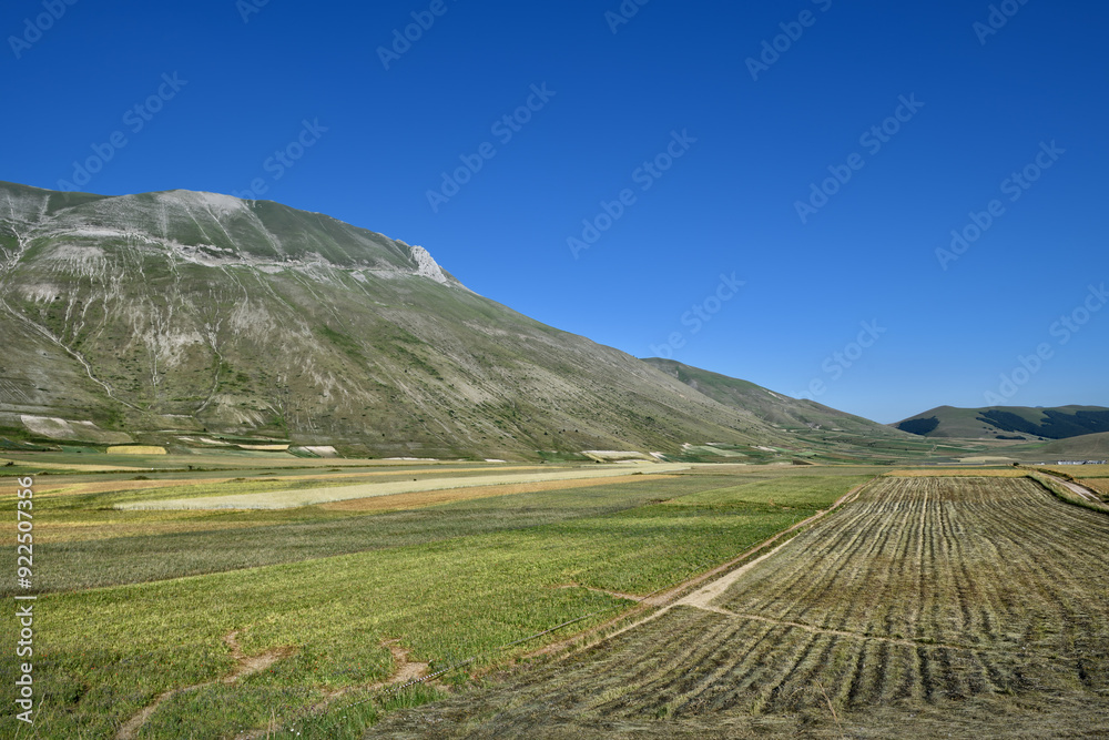 Naklejka premium Castelluccio di Norcia the roof of the Apennines and the heart of the Sibillini Mountains