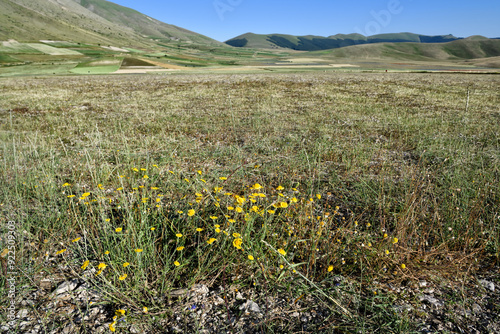 Castelluccio di Norcia the roof of the Apennines and the heart of the Sibillini Mountains