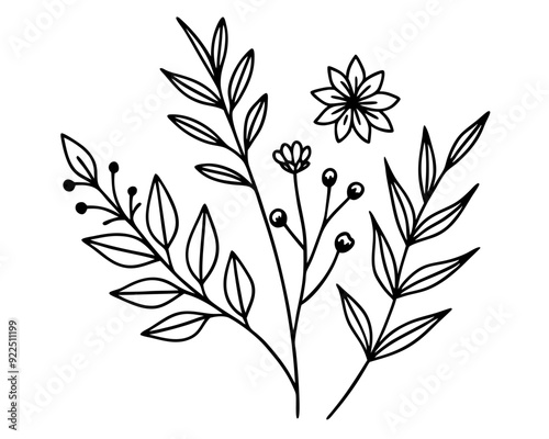 set-of floral branch and minimalist leaves vector illustration