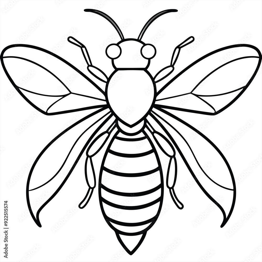line art of a crab, vector illustration line art of a crab, vector illustration