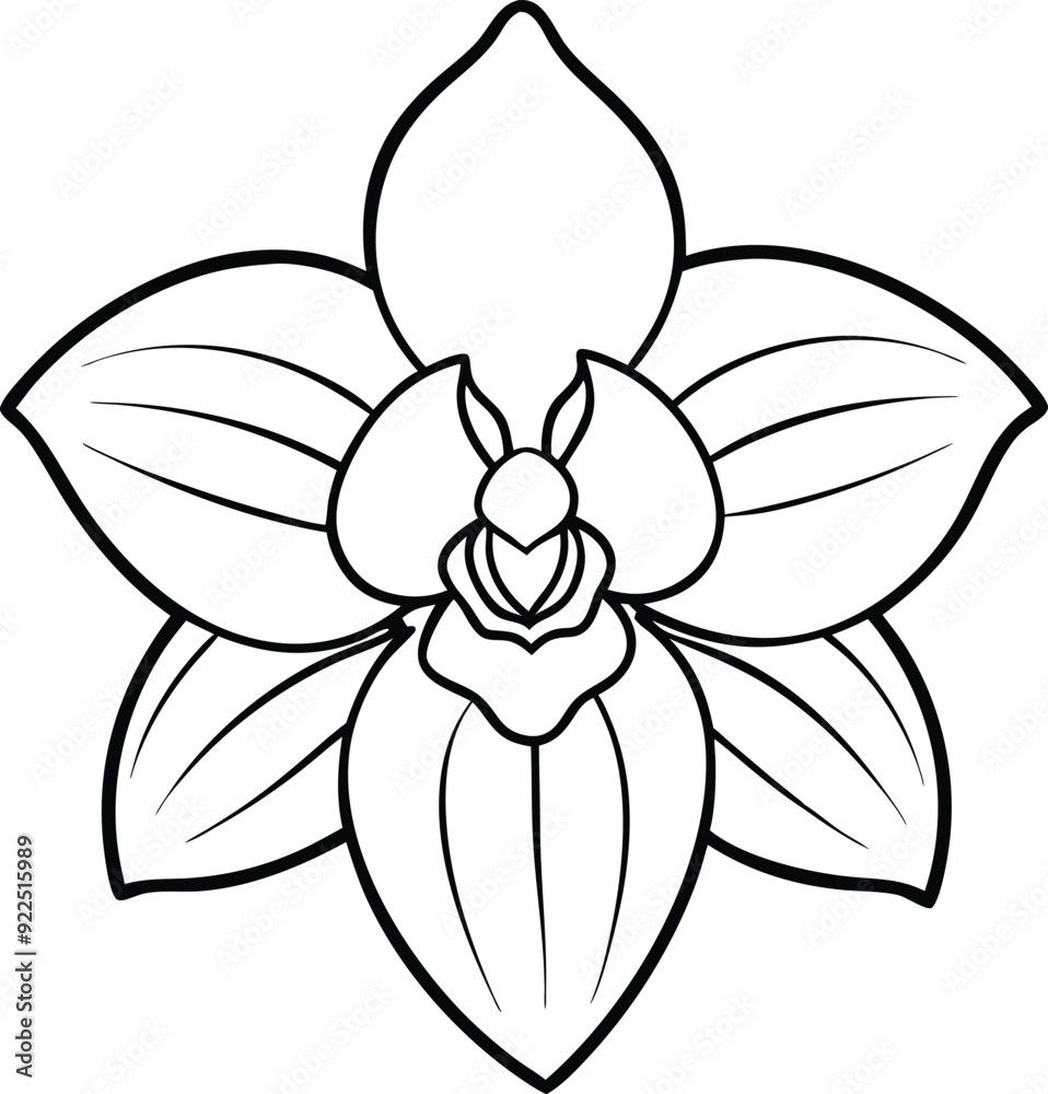 orchid line art vector orchid line art vector