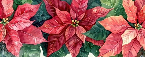 Watercolor poinsettia flowers with rich reds and greens, softly layered for a textured background, Christmas background, traditional holiday elegance photo