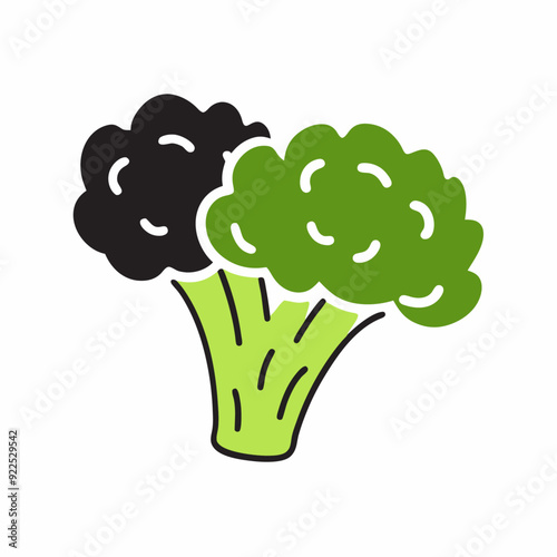 Hand drawn Broccoli Broccoli cauliflower green salad in simple primitive style Vegetables (10)