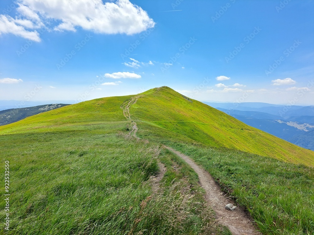 Fototapeta premium path to the mountains Slovakia Tatry Nizke