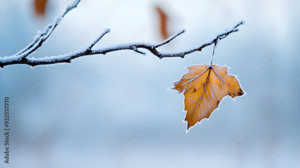 A close-up of a single frosted leaf hanging on a thin branch with a soft, blurred winter background highlighting the intricate frost details