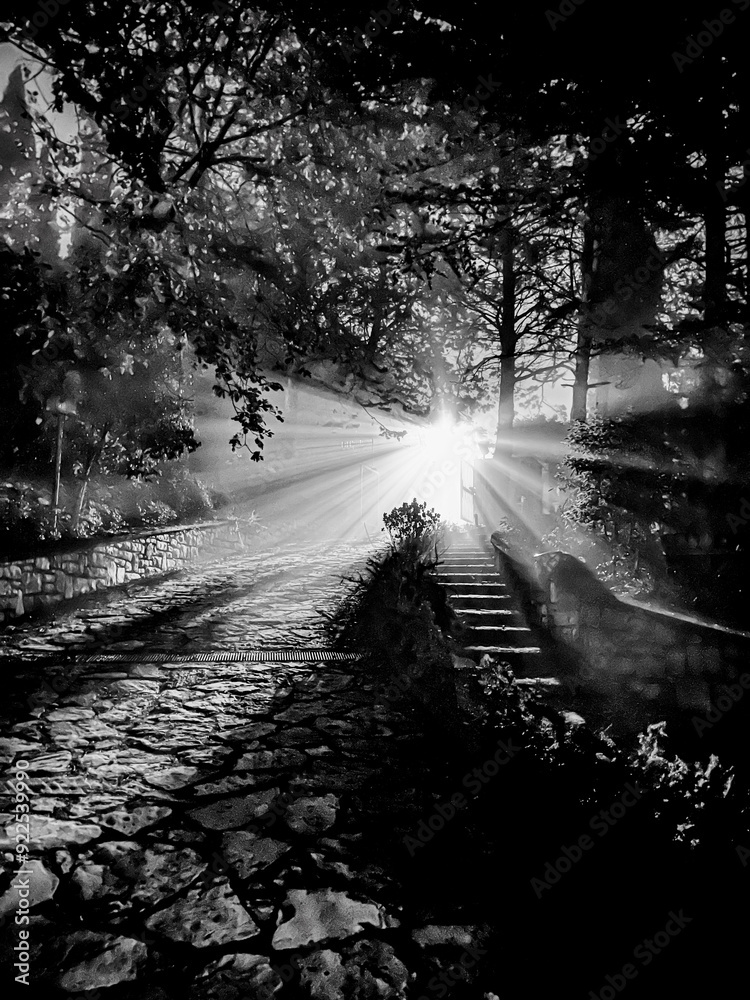 Naklejka premium Una notte in bianco e nero