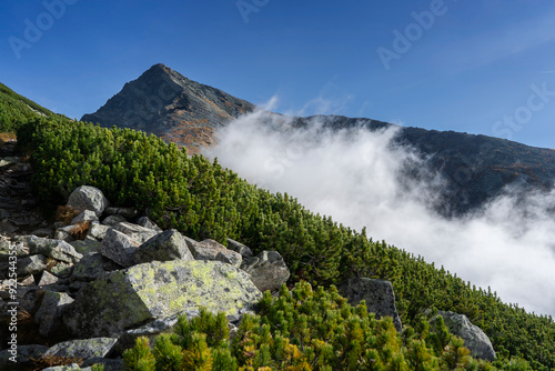 Krywan - a mountain in the High Tatras, Slovakia. Peak ranked as the country's most beautiful, symbolic holy mountain. Amazing morning fog on the mountainside (Tatry) photo