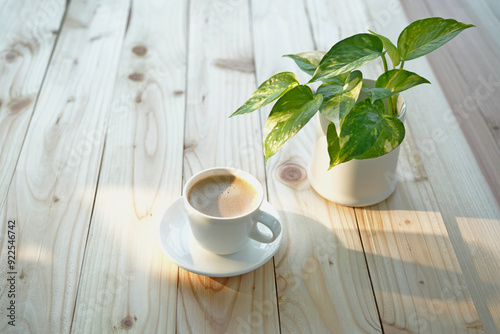 Coffee white cup and pothos plant on pine wooden table with sunshine