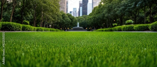 Lush green lawn surrounded by trees and modern buildings, creating a serene urban oasis for relaxation and outdoor activities.