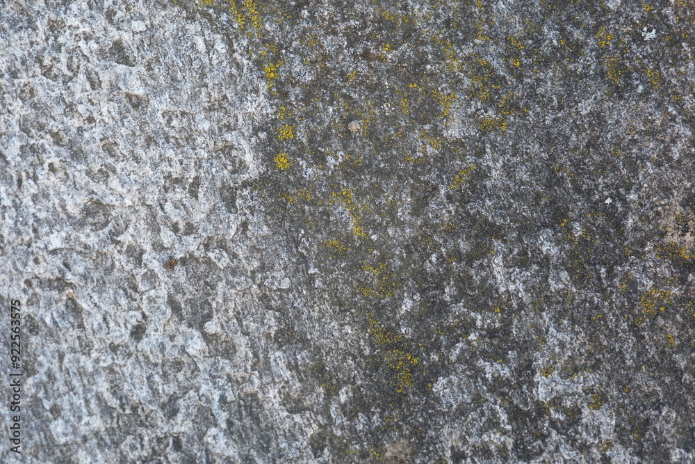 Moosbildung auf Beton, Verwitterung im Freien auf Betonmauer, verunreinigte Fassade, Algenbildung