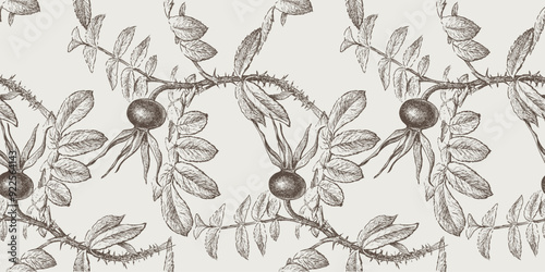 Seamless pattern of sketches wild rose twigs with ripe fruit, hand drawn background, vector illustration, wallpaper, textile, paper