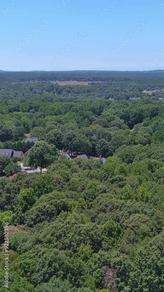 There is small American town in South Carolina with few single family homes scattered throughout forest There is small American town in South Carolina with few single family homes scattered throughout forest
