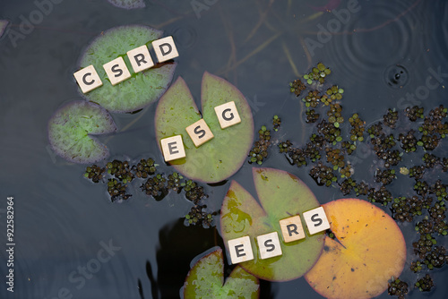 Wooden tiles with sustainability related abbreviations like CSRD, ESG and ESRS placed on water lilies in a pond