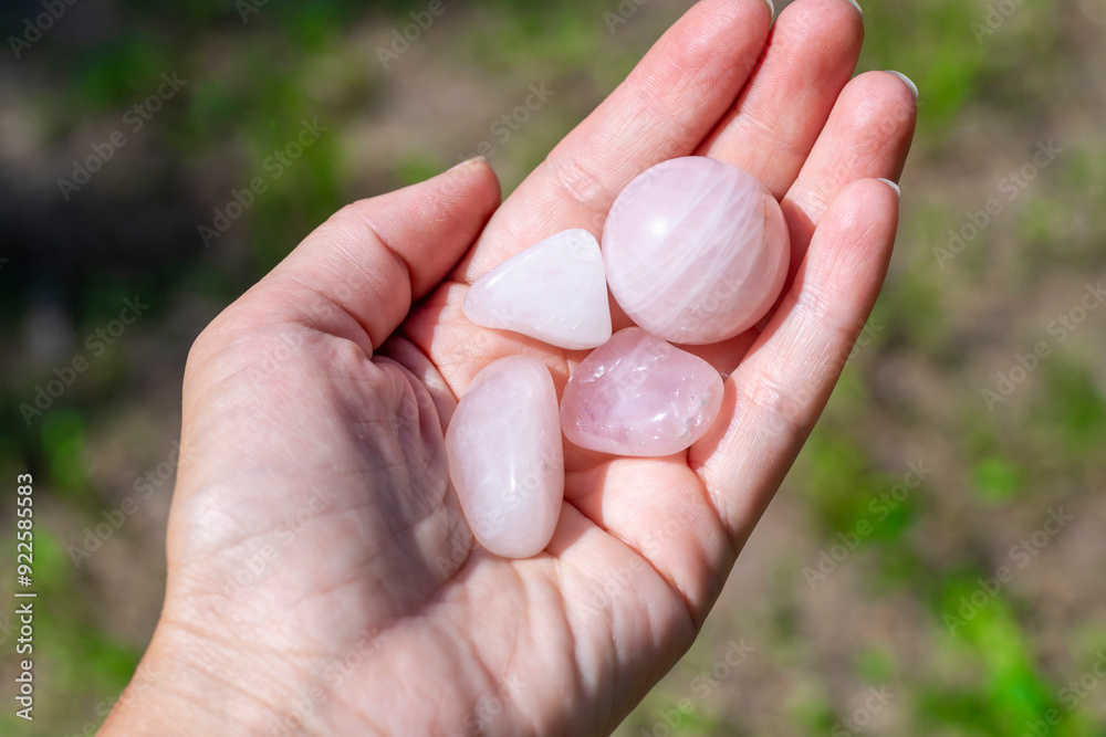 Natural rose quartz minerals in hand. Semi-precious multi-colored stones, minerals close-up. Mineralogy. Collection of minerals. Natural rose quartz minerals in hand. Semi-precious multi-colored stones, minerals close-up. Mineralogy. Collection of minerals.