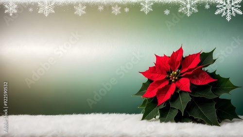 Bright red poinsettia on snowy white surface with winter snowflake border