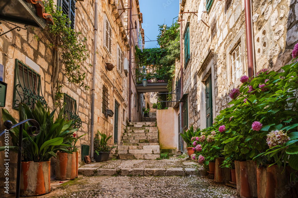 Fototapeta premium View down a narrow alley in Dubrovnik, Croatia