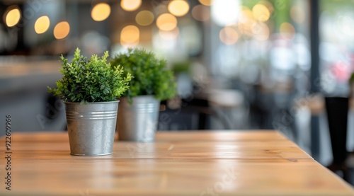 Green Plants in Silver Pots on Wooden Table at Cafe With Soft Bokeh Background