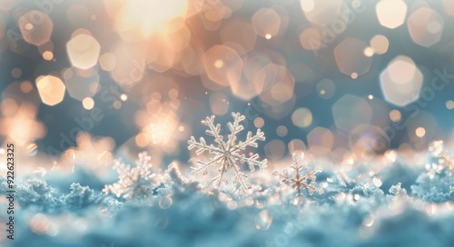 Delicate Snowflakes on Sparkling Snow During a Winter Afternoon