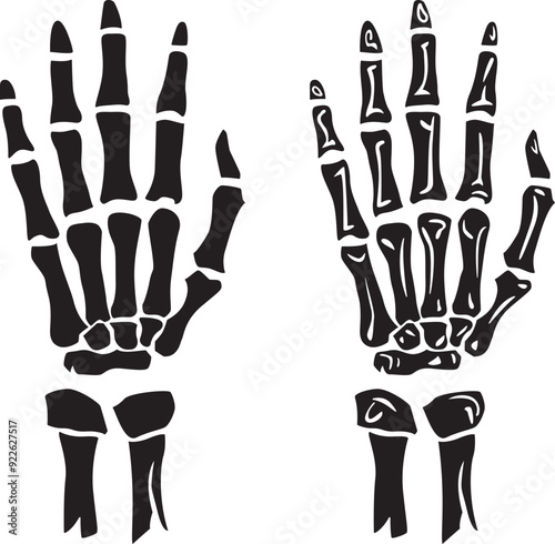 Skeleton Hand silhouette isolated on a white background.	