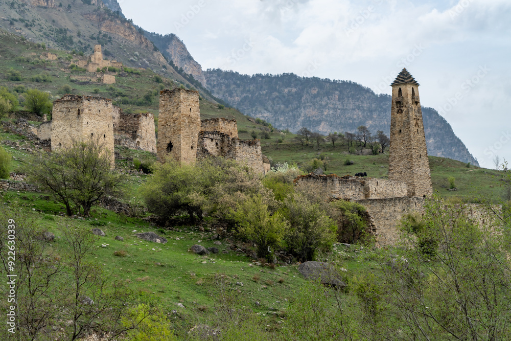 ruins of fortresses in the mountains ruins of fortresses in the mountains