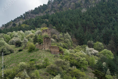 Vovnushki
Medieval tower complex photo