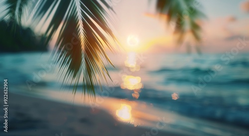 Sunset Over Ocean With Palm Trees in Tropical Paradise